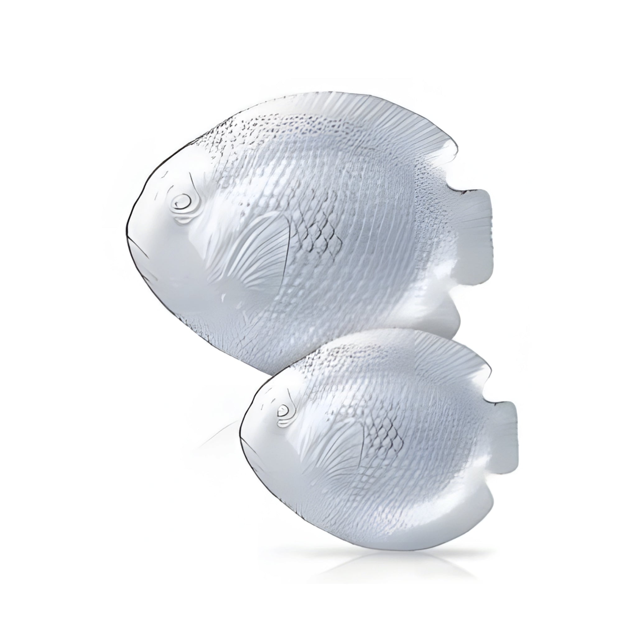 طقم سمك من باشاباتشى التركى